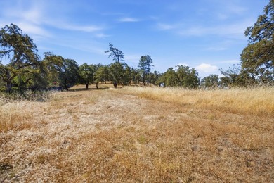 RARE EL DORADO HILLS DEVELOPMENT OPPORTUNITY | 11 ACRES | ZONED - photo 24