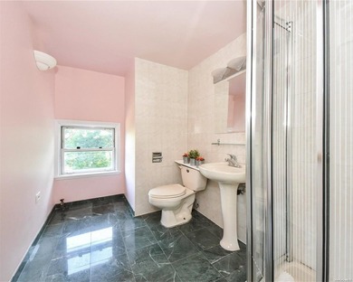 Classic Center Hall Colonial completely renovated. Extra large - photo 27