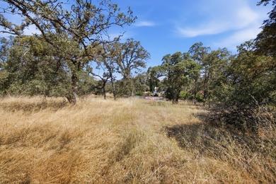 RARE EL DORADO HILLS DEVELOPMENT OPPORTUNITY | 11 ACRES | ZONED - photo 29