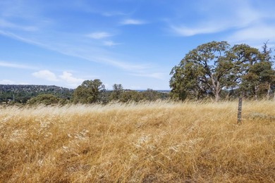 RARE EL DORADO HILLS DEVELOPMENT OPPORTUNITY | 11 ACRES | ZONED - photo 30