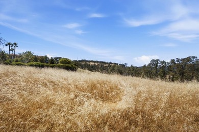 RARE EL DORADO HILLS DEVELOPMENT OPPORTUNITY | 11 ACRES | ZONED - photo 31