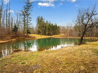 This 222-acre property quietly nestled between large tracts of - photo 32