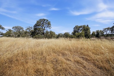 RARE EL DORADO HILLS DEVELOPMENT OPPORTUNITY | 11 ACRES | ZONED - photo 32