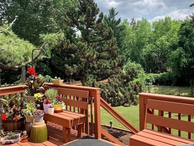 Classic Center Hall Colonial completely renovated. Extra large - photo 32