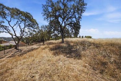 RARE EL DORADO HILLS DEVELOPMENT OPPORTUNITY | 11 ACRES | ZONED - photo 33