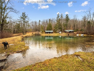 This 222-acre property quietly nestled between large tracts of - photo 34