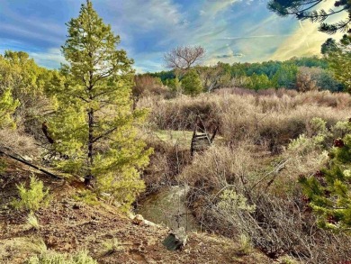 (private lake, pond, creek) Acreage For Sale in Glade Park Colorado