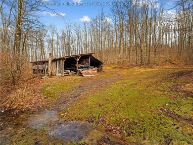 This 222-acre property quietly nestled between large tracts of - photo 45