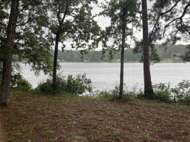 Gantt Lake Acreage For Sale in Andalusia Alabama
