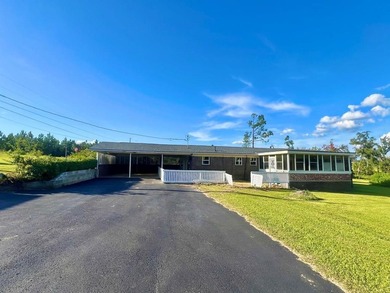 (private lake, pond, creek) Home For Sale in Hazlehurst Georgia