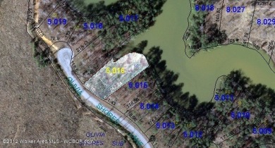 SMITH LAKE/BEAR BRANCH- Aggressively priced lakefront lot in - Lake Lot For Sale in Arley, Alabama