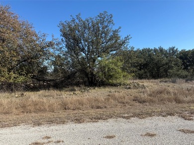 Take in a stunning, elevated view of Lake Brownwood right from - photo 6