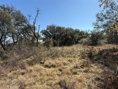 Take in a stunning, elevated view of Lake Brownwood right from - photo 8