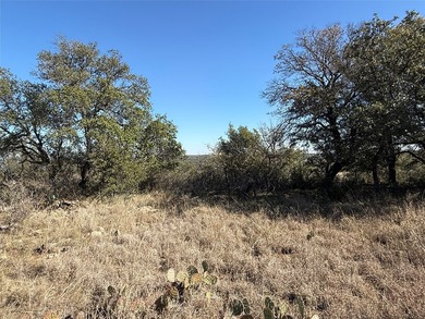 Take in a stunning, elevated view of Lake Brownwood right from - photo 9