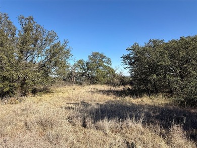 Take in a stunning, elevated view of Lake Brownwood right from - photo 10