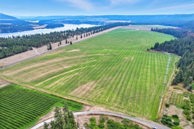 Lake Acreage For Sale in Ford, Washington