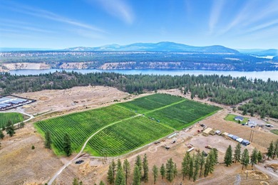 A rare offering in Eastern WA, Willow Wind Organic Farms - photo 2