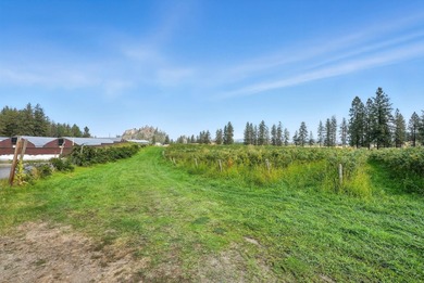 A rare offering in Eastern WA, Willow Wind Organic Farms - photo 4