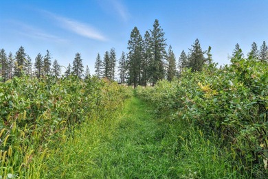 A rare offering in Eastern WA, Willow Wind Organic Farms - photo 5