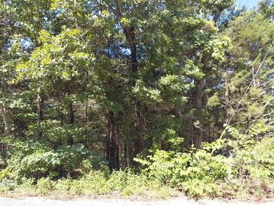 3 adjacent lakefront lots on Beautiful Lake Omaha, Cherokee - photo 1
