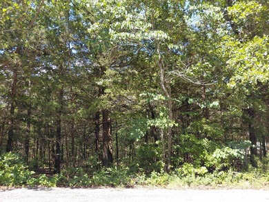 3 adjacent lakefront lots on Beautiful Lake Omaha, Cherokee - photo 2