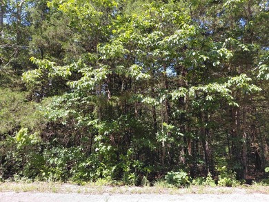 3 adjacent lakefront lots on Beautiful Lake Omaha, Cherokee - photo 3