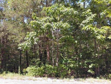 3 adjacent lakefront lots on Beautiful Lake Omaha, Cherokee - photo 4