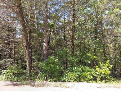 3 adjacent lakefront lots on Beautiful Lake Omaha, Cherokee - photo 5