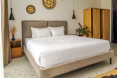 Stunning and Modern 2 Bedroom Villa in Berawa - photo 12