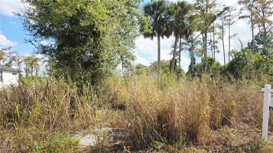 Lehigh Acres Area Lot For Sale in Lehigh Acres Florida