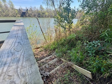 Welcome to your own slice of riverfront paradise in the - photo 12