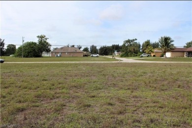 Waterfront residential lot located in north Cape Coral. HUGE - photo 2