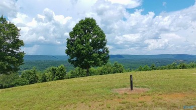 Build your dream home on these two adjoining lots totaling 2.49 - photo 2