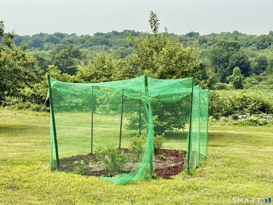Welcome to your New England retreat. A private permaculture - photo 13