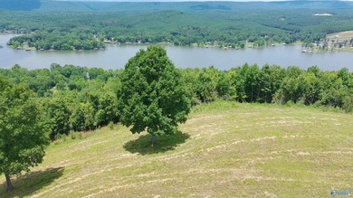 Build your dream home on these two adjoining lots totaling 2.49 - photo 3