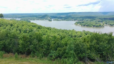 Build your dream home on these two adjoining lots totaling 2.49 - photo 4