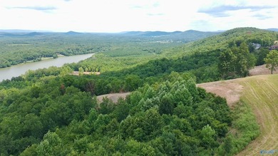 Build your dream home on these two adjoining lots totaling 2.49 - photo 5