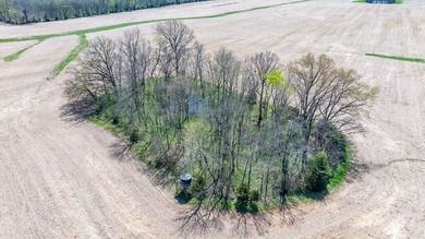 ?? 374 ACRES - TODD COUNTY, KY! ?? The possibilities are - photo 18