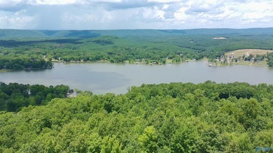 Build your dream home on these two adjoining lots totaling 2.49 - photo 10