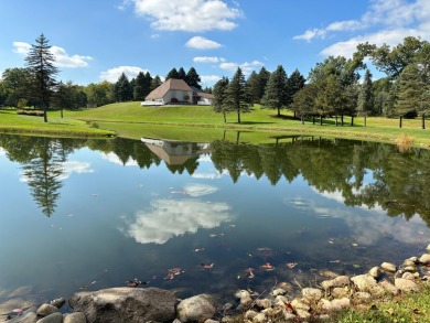 Lake Home For Sale in Manchester, Michigan