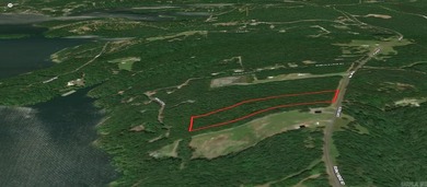 5.34 acres +/- overlooking Greers Ferry Lake. Wooded land will - photo 1