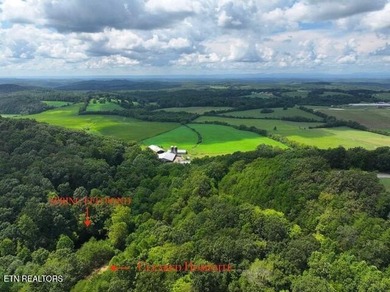 (private lake, pond, creek) Acreage For Sale in Niota Tennessee