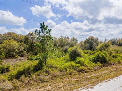 Lehigh Acres Area Lot For Sale in Lehigh Acres Florida