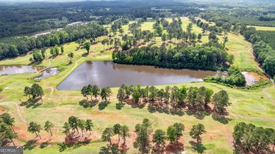 NEW CONSTRUCTION - MOVE IN READY! *The Copeland* by Trademark - photo 3