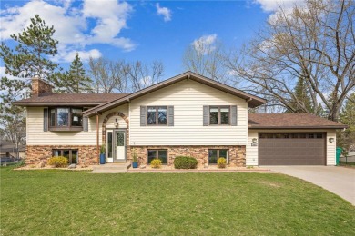 Lake Home Sale Pending in Shoreview, Minnesota