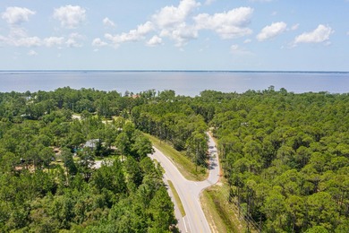 Less than a mile to Choctawhatchee Bay and sitting in Flood Zone - photo 13