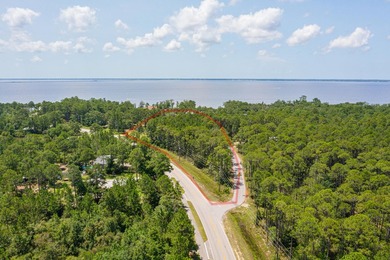 Less than a mile to Choctawhatchee Bay and sitting in Flood Zone - photo 14