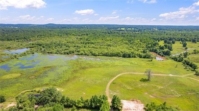 (private lake, pond, creek) Home For Sale in Brownsboro Texas