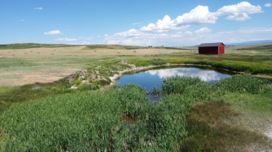 (private lake, pond, creek) Acreage For Sale in Craig Colorado