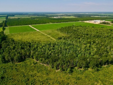 (private lake, pond, coastal) Acreage For Sale in Atmore Alabama